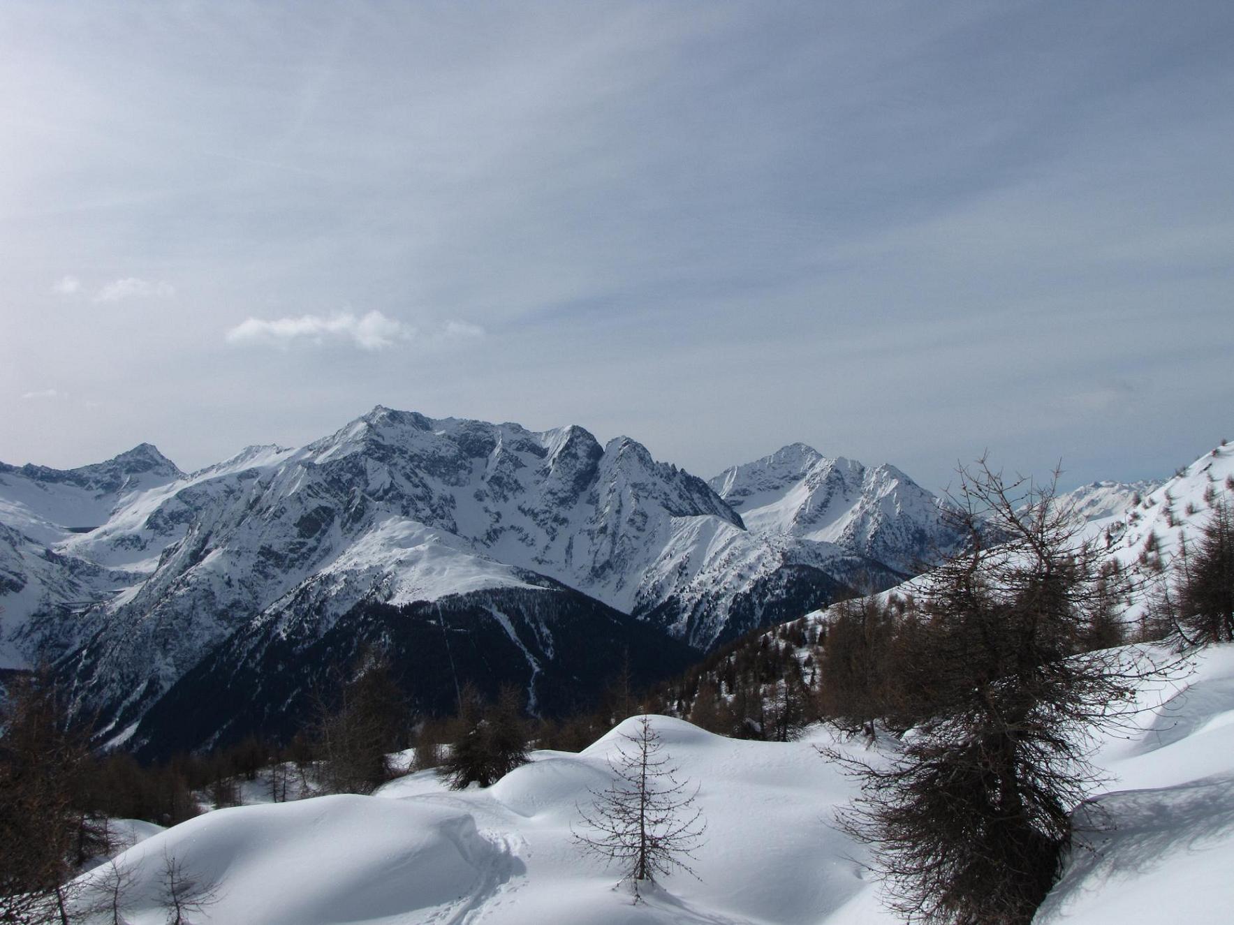 I camosci tornano a correre
